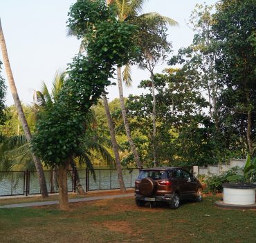 Parking space on the lawn